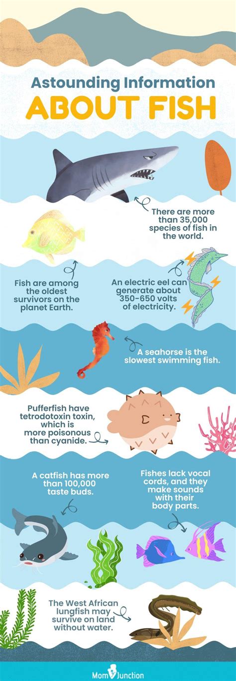 All About Fish: A 5.